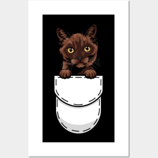 Funny Burmese Pocket Cat Posters and Art